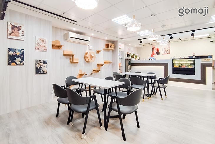 伊莉莎肥肥胖胖Cat.Cafe (中原店)