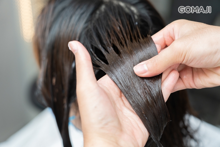 日本哥德式低蛋白護髮素 