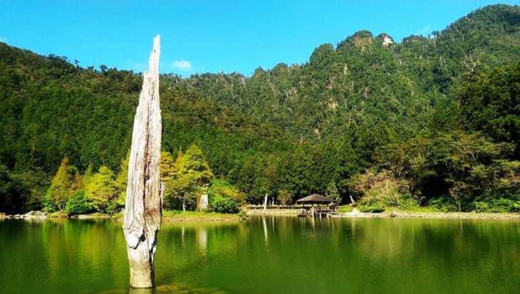 明池森林遊樂區、清水地熱一日遊