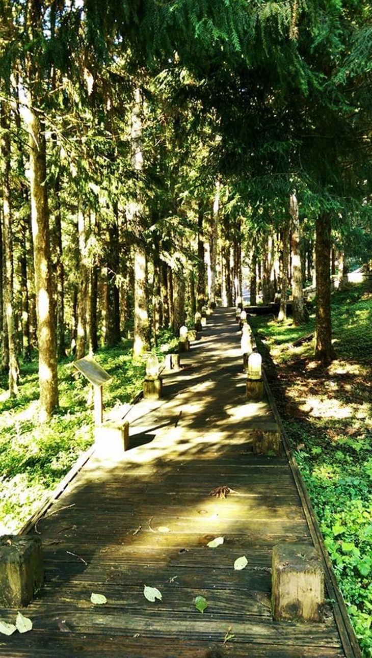 明池森林遊樂區、清水地熱一日遊