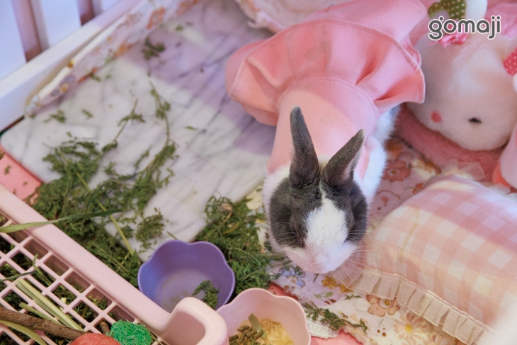 Pink oni粉紅姐姐韓式料理(宜蘭店)