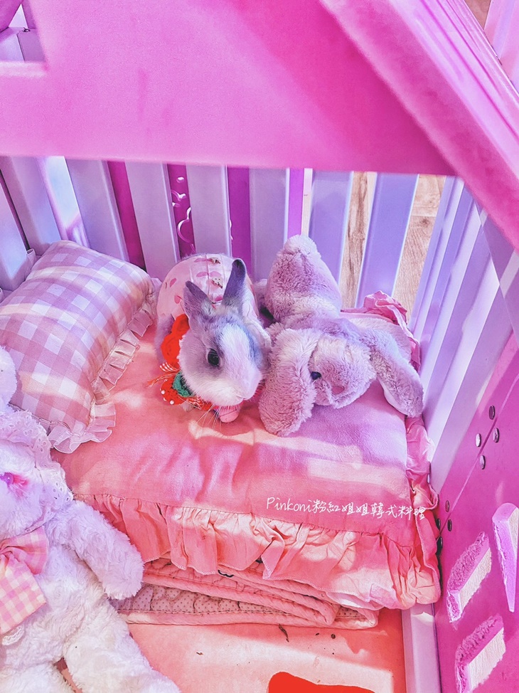 Pink oni粉紅姐姐韓式料理(宜蘭店)