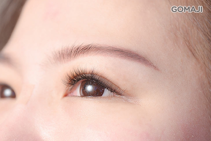 睫毛嫁接(山茶花絲霧黑)