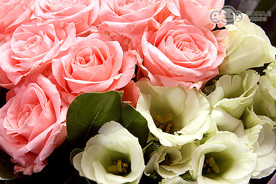 馨如花屋超值優惠方案 Gomaji夠麻吉