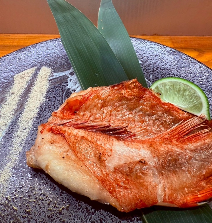 日本三重縣鰤魚下巴