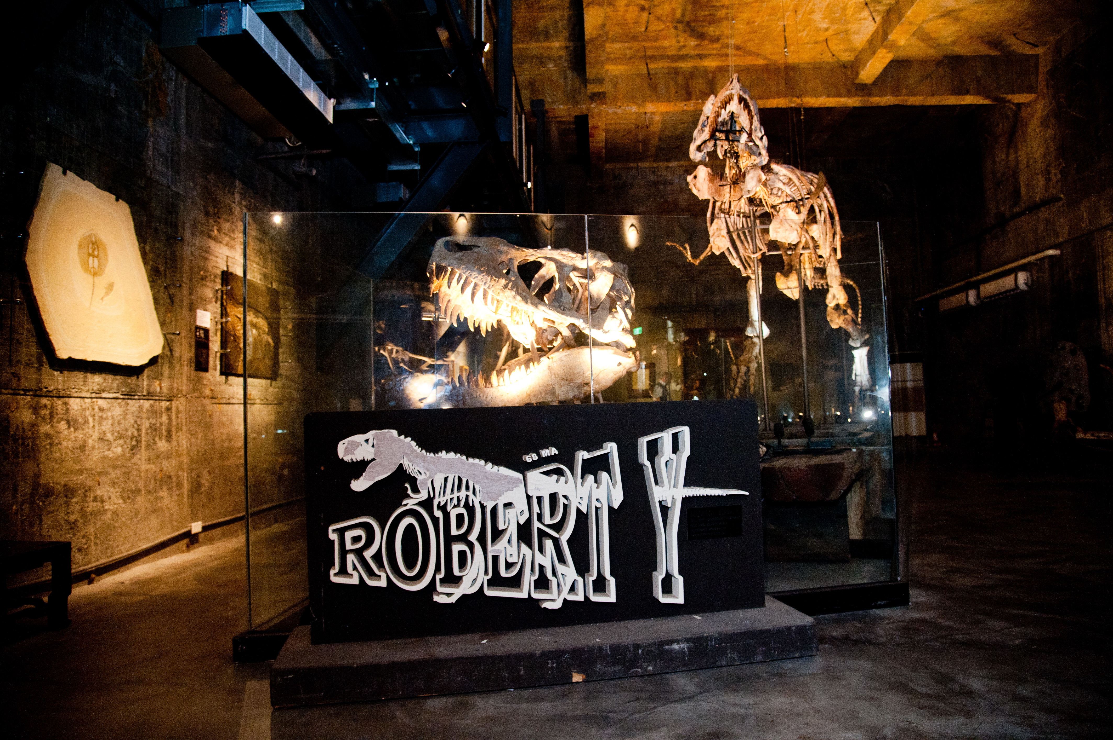 蘇澳-Robert Y 廢墟羅浮宮-暴龍館