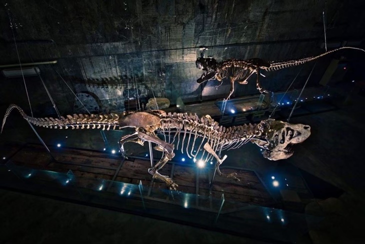 蘇澳-Robert Y 廢墟羅浮宮-暴龍館