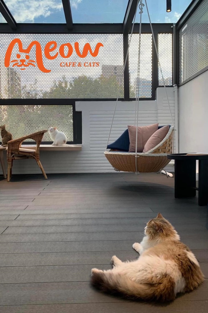 MEOW CAFE 喵屋專業咖啡