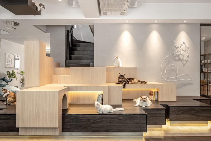 MEOW CAFE 喵屋專業咖啡