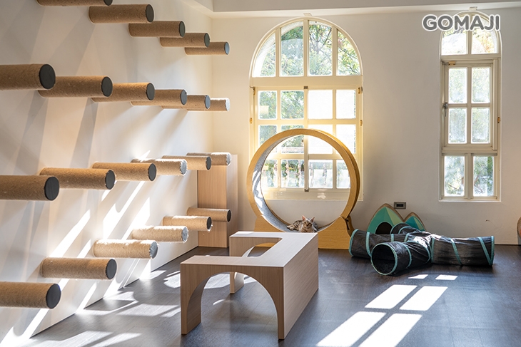 MEOW CAFE 喵屋專業咖啡