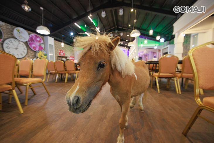 皇家花園餐廳(礁溪旗艦店)