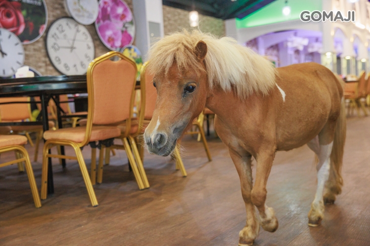 皇家花園餐廳(礁溪旗艦店)