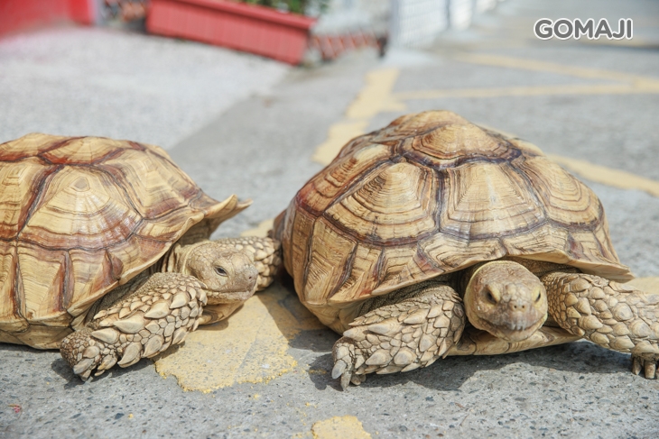 皇家花園餐廳(礁溪旗艦店)