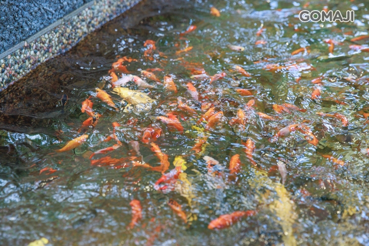 皇家花園餐廳(礁溪旗艦店)