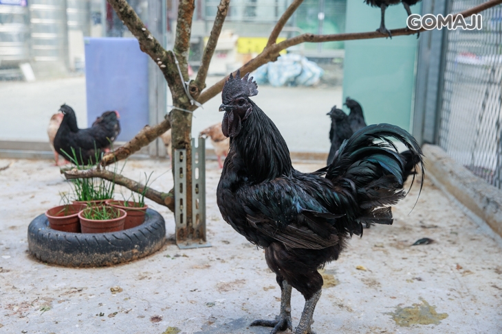 皇家花園餐廳(礁溪旗艦店)