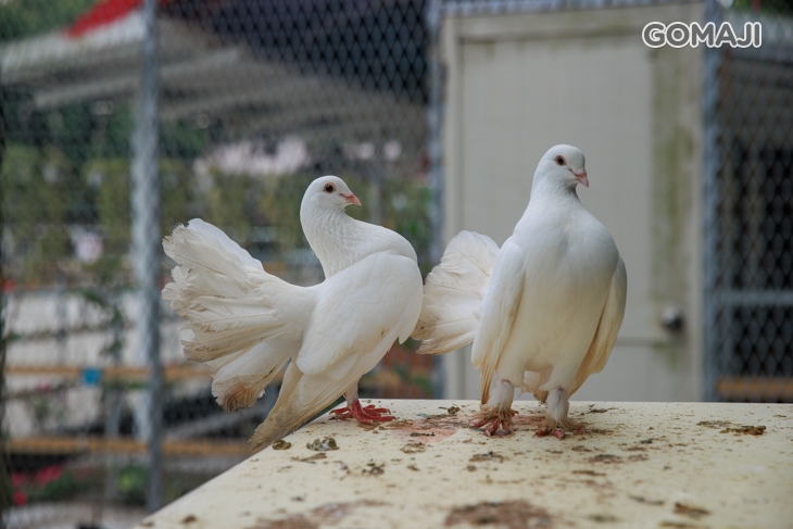 皇家花園餐廳(礁溪旗艦店)