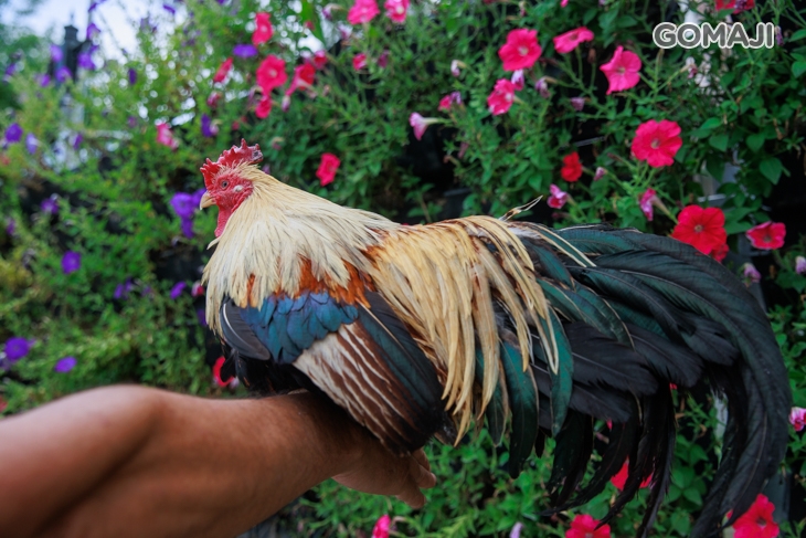皇家花園餐廳(礁溪旗艦店)