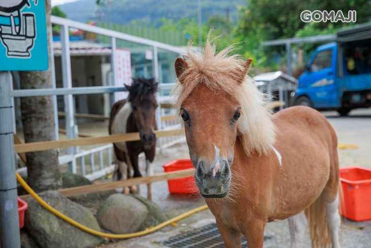 皇家花園餐廳(礁溪旗艦店)