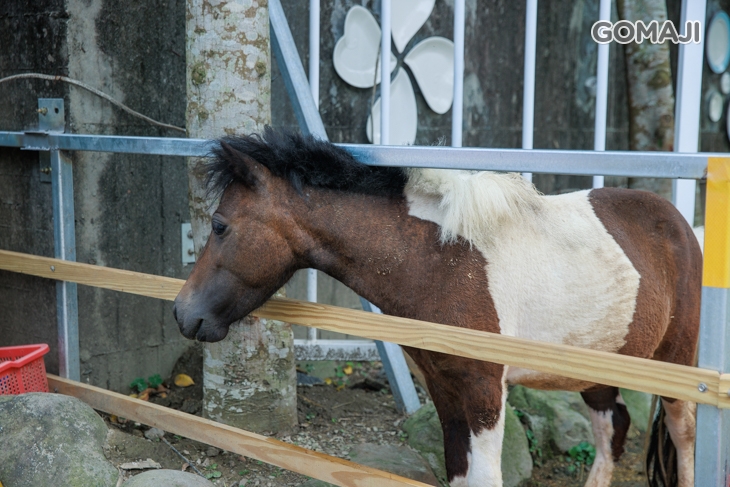 皇家花園餐廳(礁溪旗艦店)