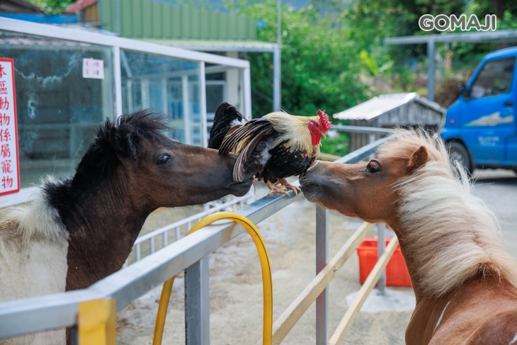 皇家花園餐廳(礁溪旗艦店)