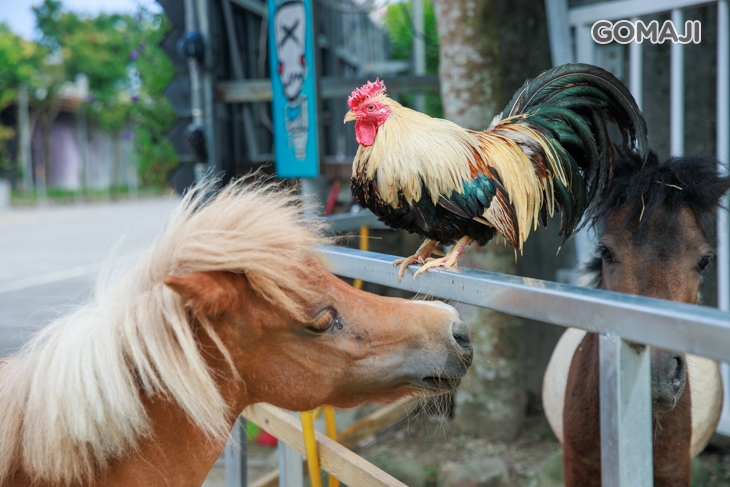 皇家花園餐廳(礁溪旗艦店)