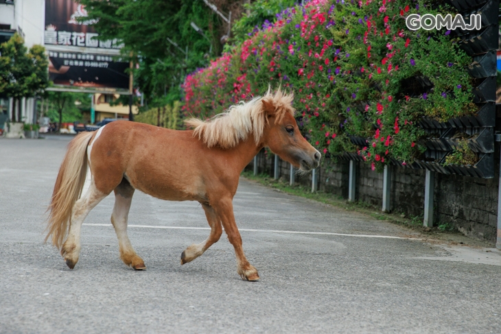 皇家花園餐廳(礁溪旗艦店)