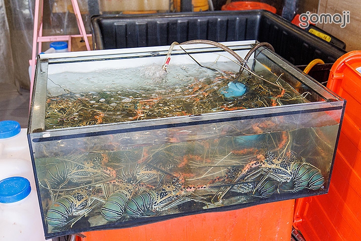 大吃一斤 生猛海鮮/活魚料理