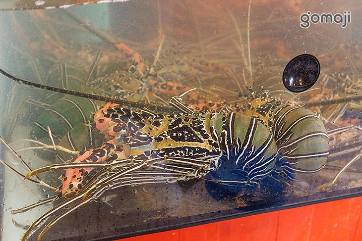 大吃一斤 生猛海鮮/活魚料理