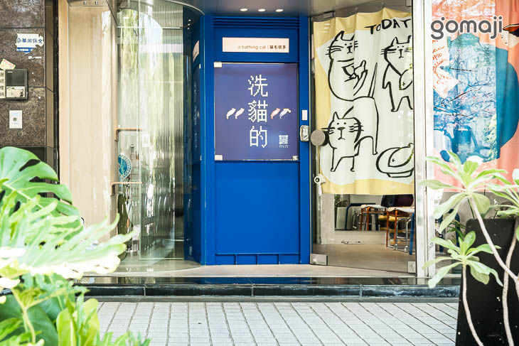 a bathing cat貓毛很多(台中店)