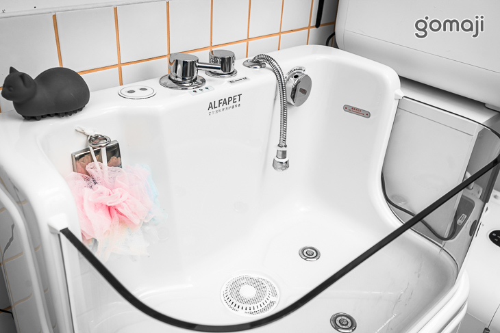 a bathing cat貓毛很多(台中店)