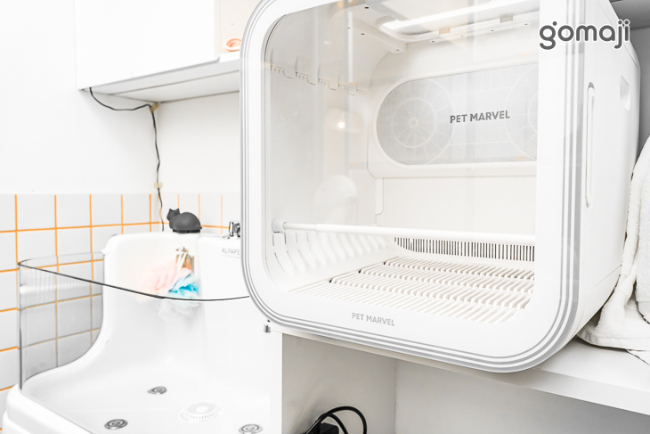 a bathing cat貓毛很多(台中店)