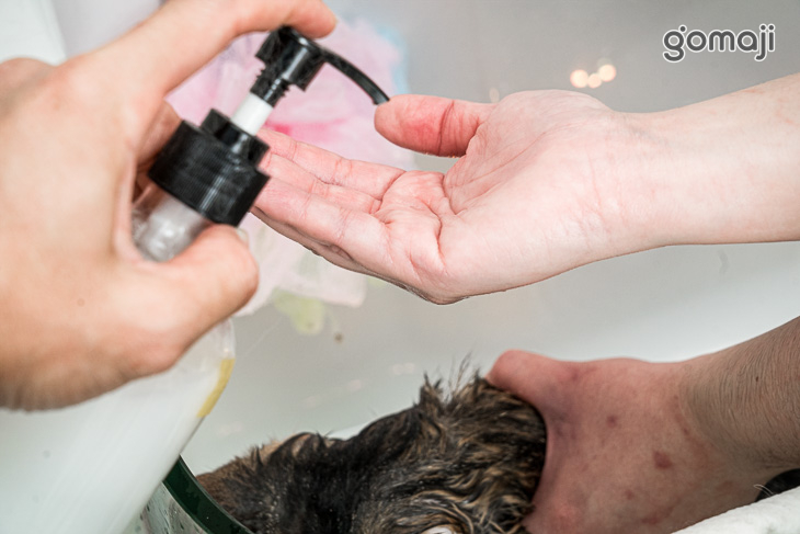 絲絲柔順護毛素