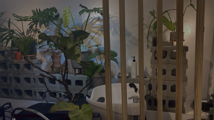 植入FEEL ALIVE . HAIR STUDIO