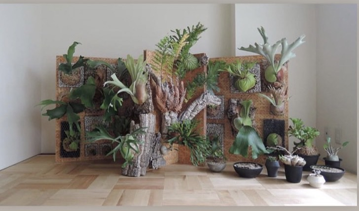 植入FEEL ALIVE . HAIR STUDIO