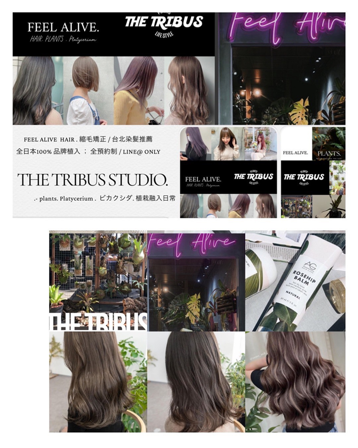  全日規五大品牌-資生堂/fiole/hoyu/哥德式/no3.JP 染髮(由設計師建議使用)