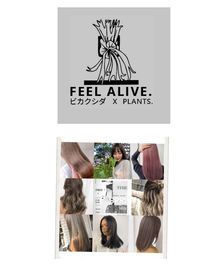 全日規五大品牌-資生堂/fiole/hoyu/哥德式/no3.JP 冷燙