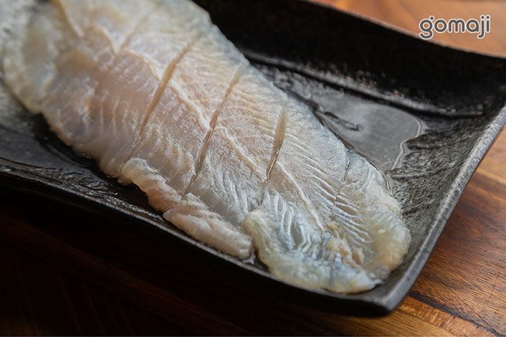 巴沙魚