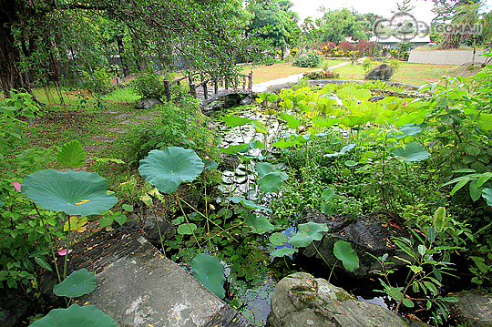 怡園生態之旅