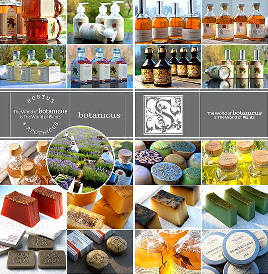 菠丹妮芳療會館(高雄美術館店)