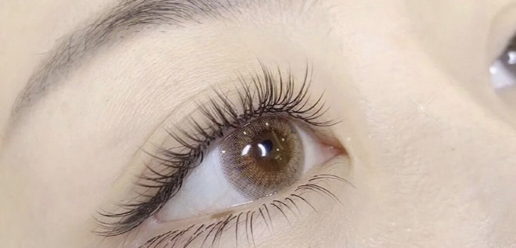  F.仙女加密款6D/YY輕柔500根美睫(依原生睫毛條件嫁接) 