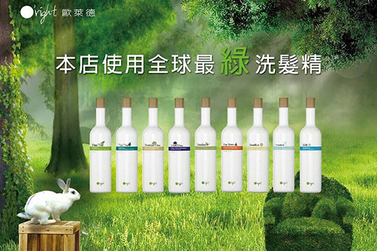 歐萊德檜木頭皮淨化角質代謝