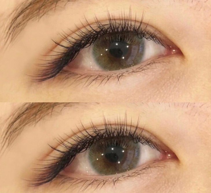 無負擔嫁接日式3D根接根150根