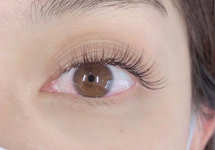 無負擔嫁接日式3D根接根150根