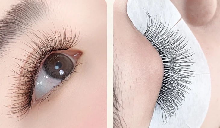 全場焦點6D多層次三葉草嫁接接到滿