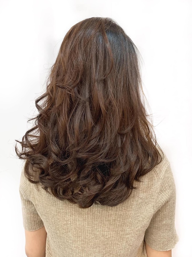 專業質感單色染髮