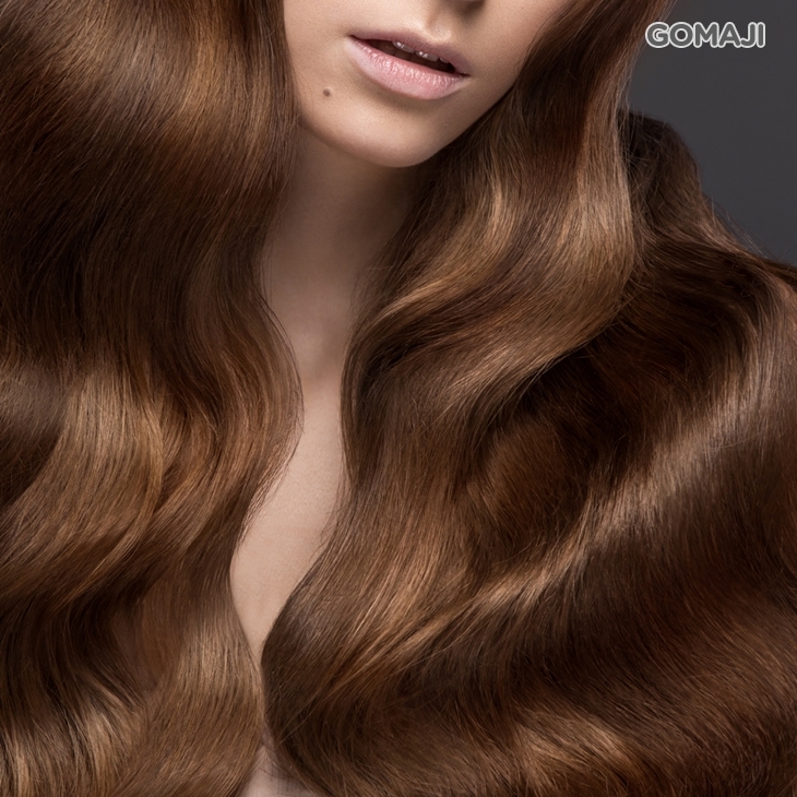 乾燥受損髮救星!護髮界LV日本資生堂Shiseido/哥德式二段結構式深層護髮 二選一